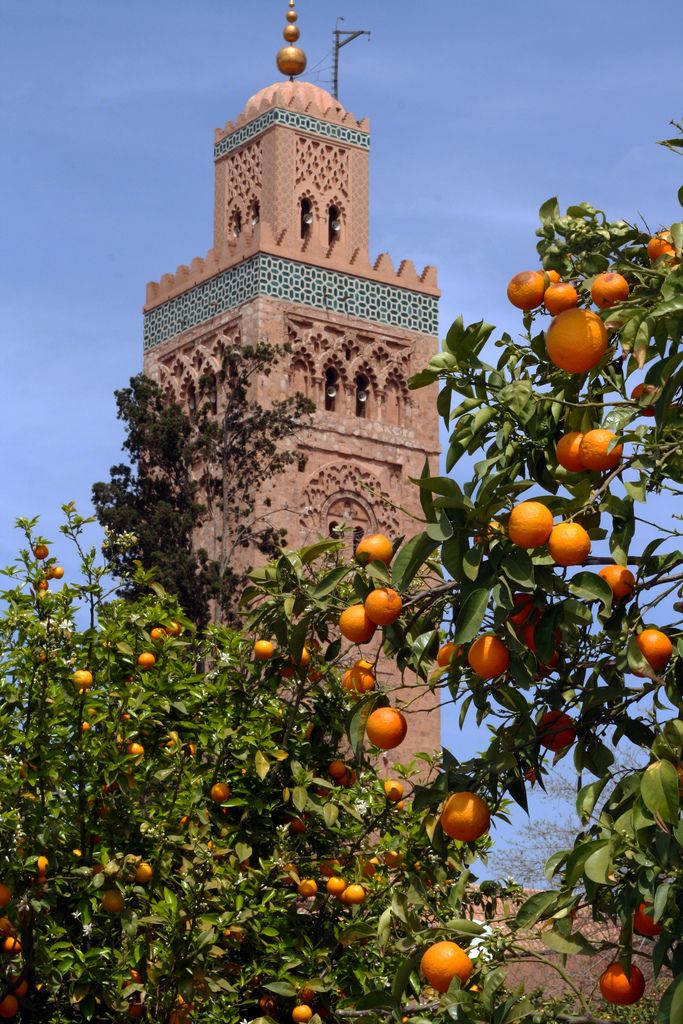 Koutoubia Mosque Marrakech