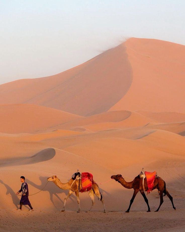 Merzouga, Morocco 🇲🇦 (1)
