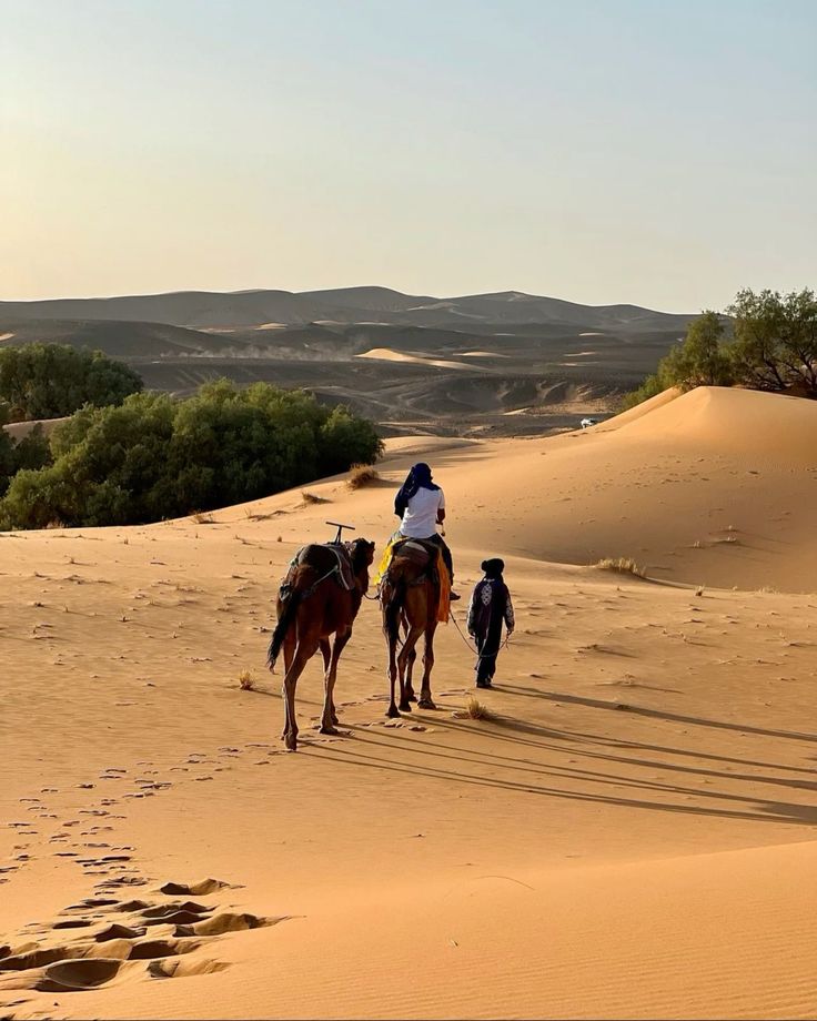 Merzouga, Morocco 🇲🇦 (2)