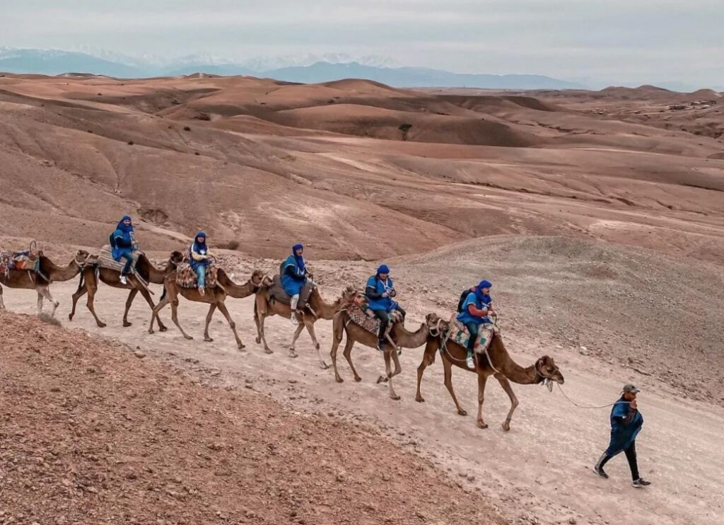 Agafay-Desert (2)