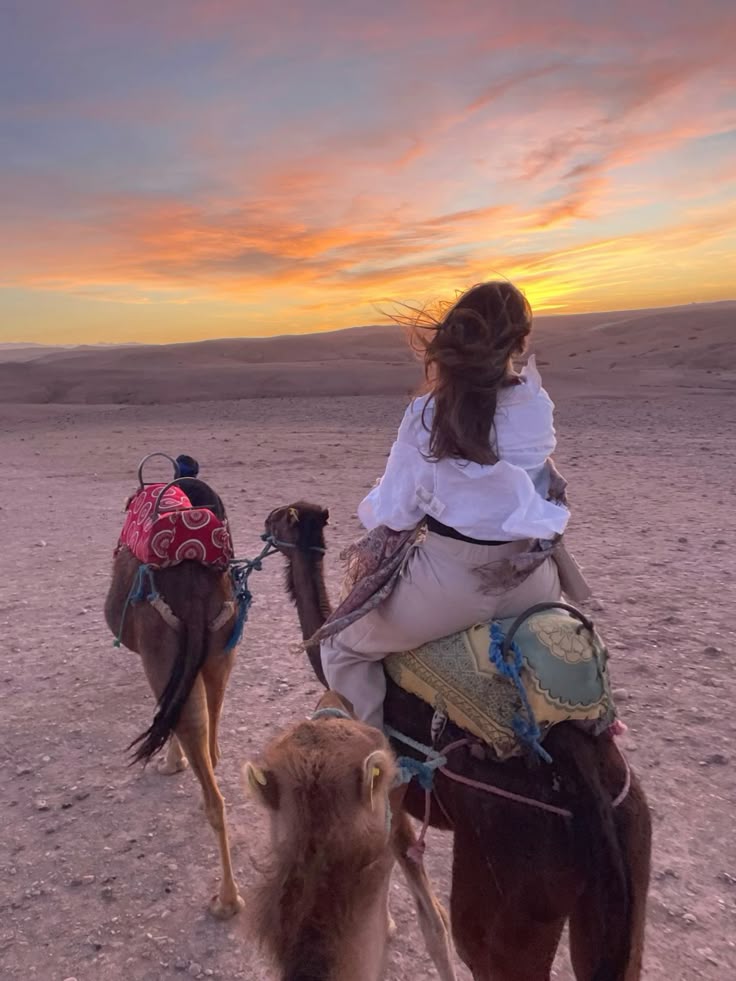 africa, marrakech, morocco, travel abroad…