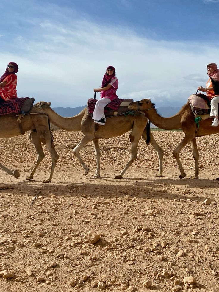 camel ride in Marrakech