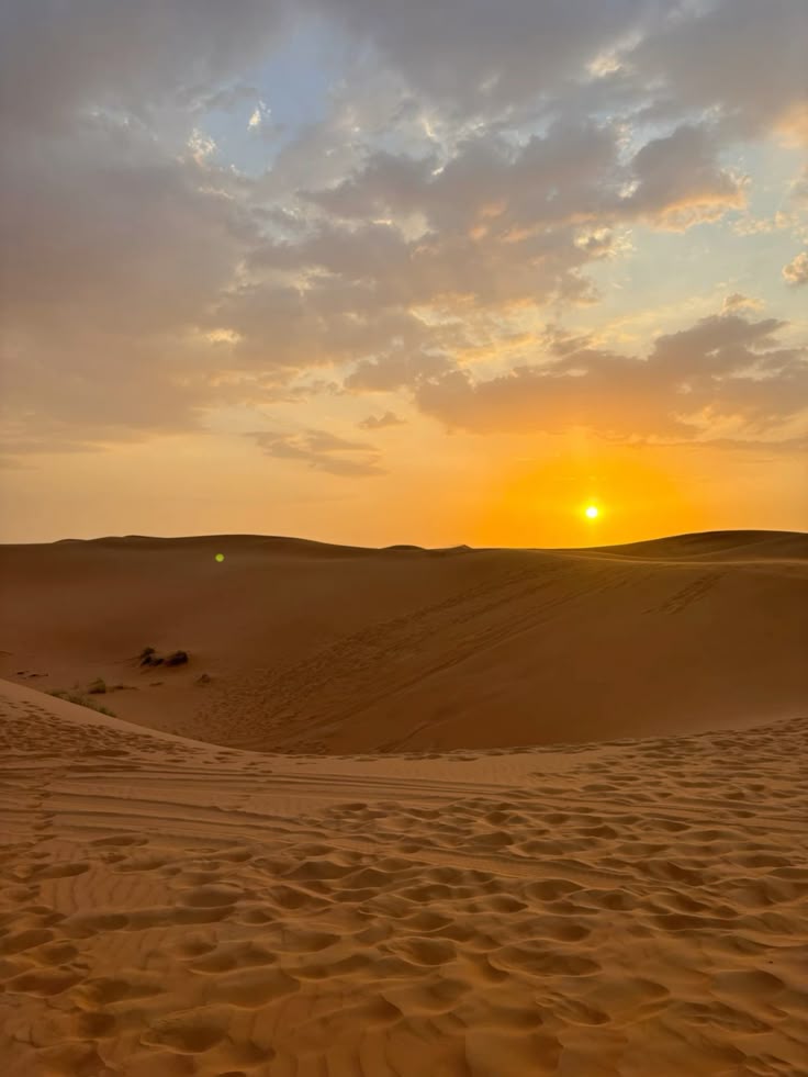 🏜️🌵🐪